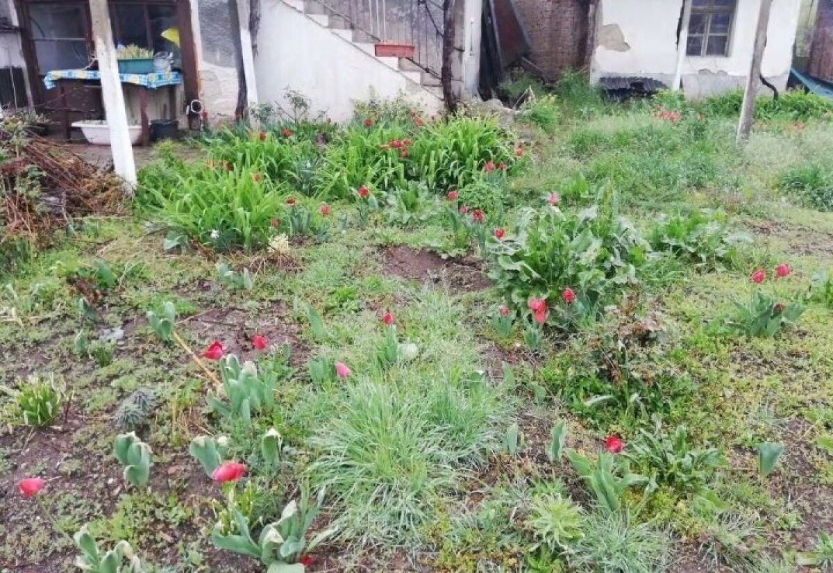 Продажба на Къща в , Калугерово – снимка 5