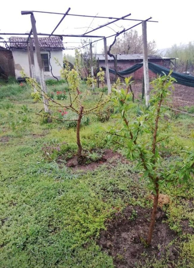 Продажба на Къща в , Калугерово – снимка 6