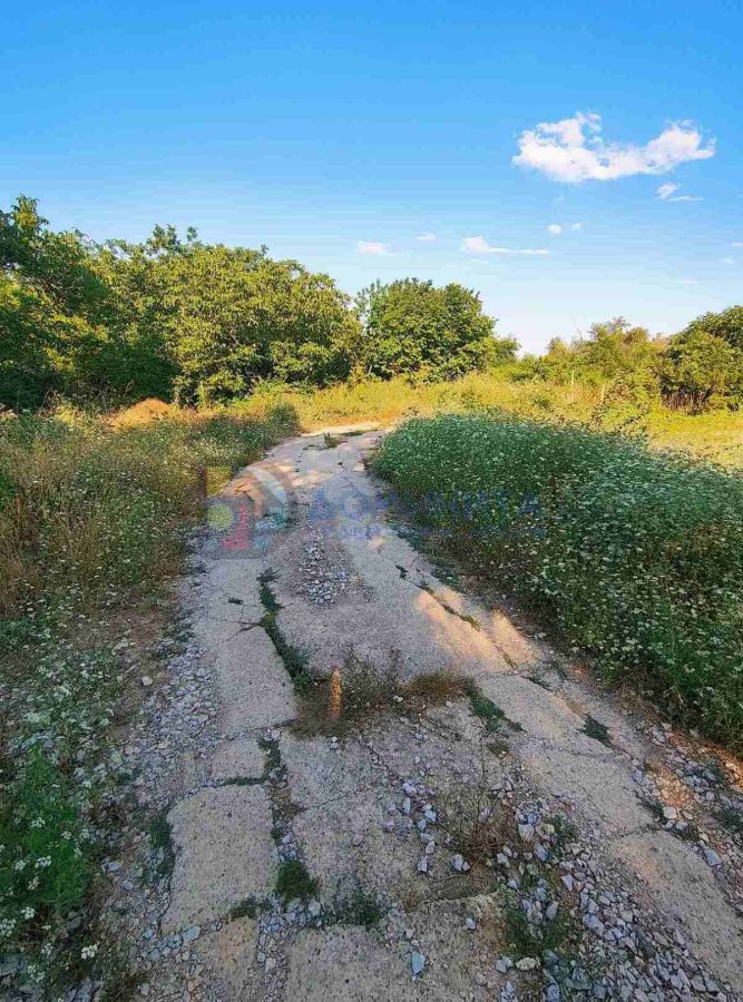 Продажба на Парцел в , Граматиково – снимка 3