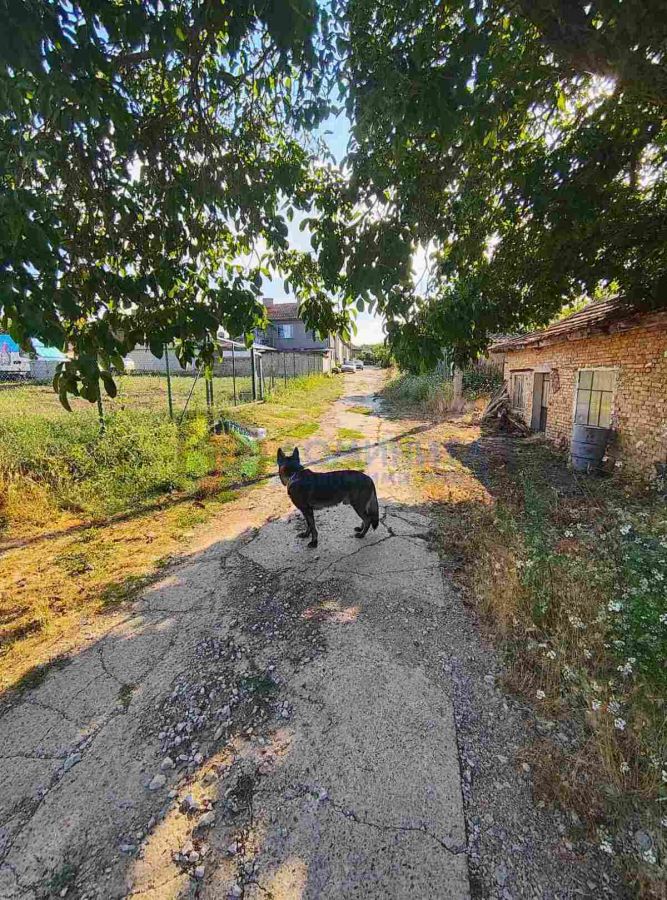 Продажба на Парцел в , Граматиково – снимка 4