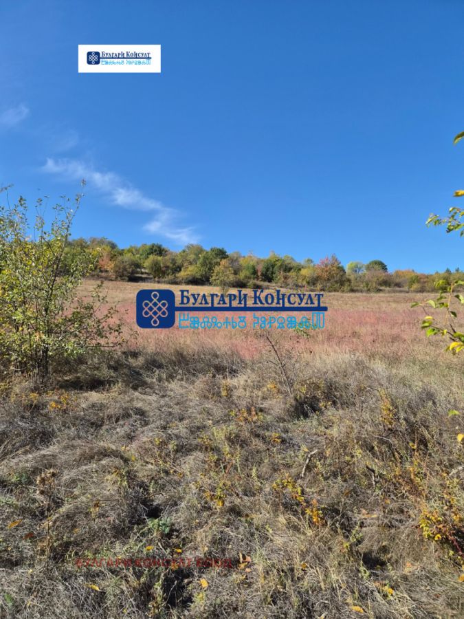 Продажба на Парцел в , Логодаж – снимка 4