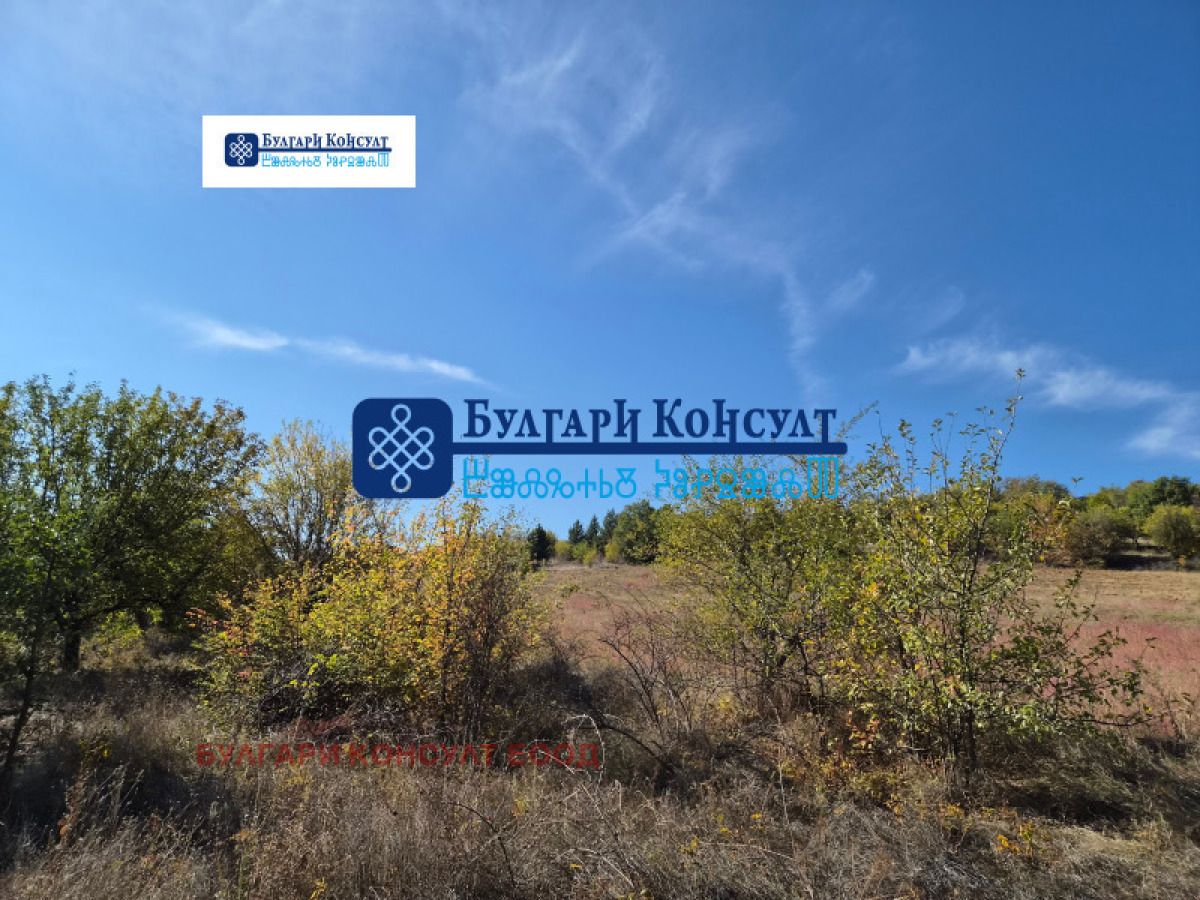 Продажба на Парцел в , Логодаж – снимка 5