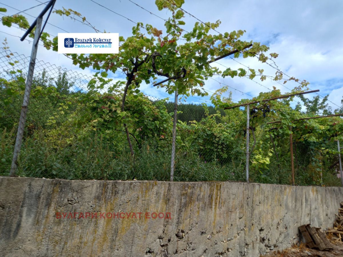 Продажба на Парцел в , Шипочано – снимка 13