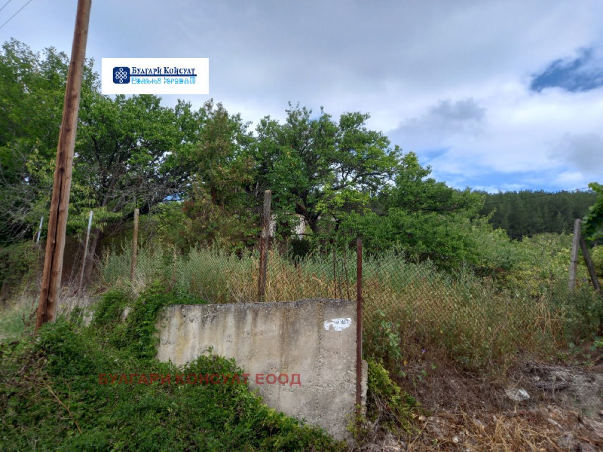 Продажба на Парцел в , Шипочано – снимка 14